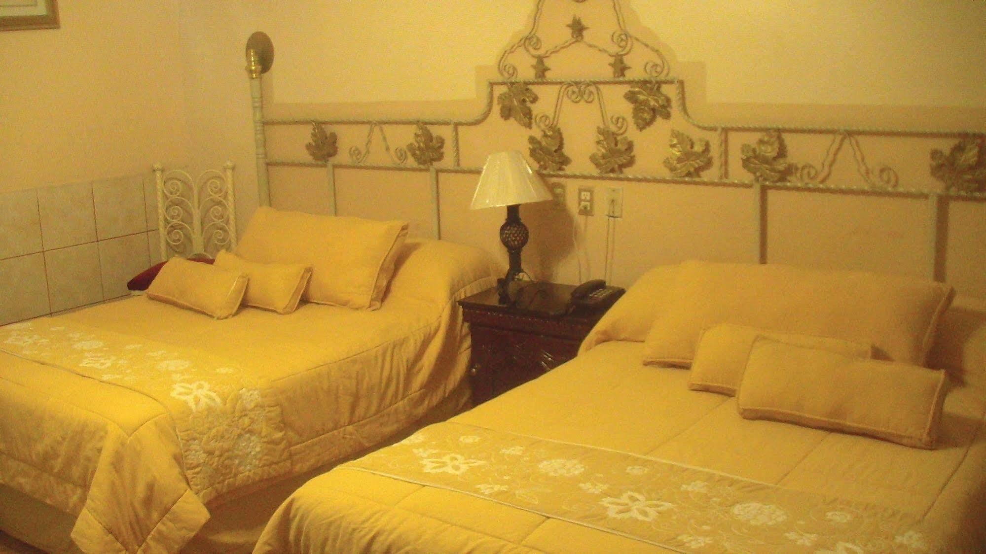 Hotel Gya Express Aguascalientes Bagian luar foto